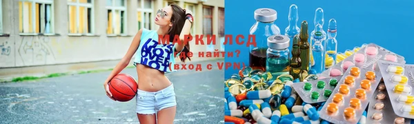 apvp Алзамай