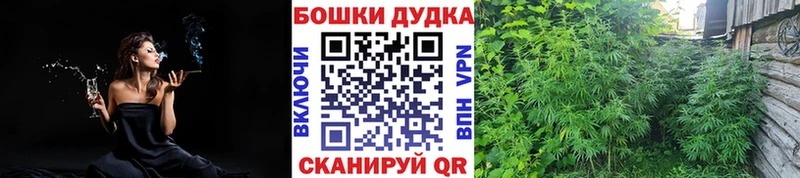 МАРИХУАНА Ganja  цены наркотик  Ухта 